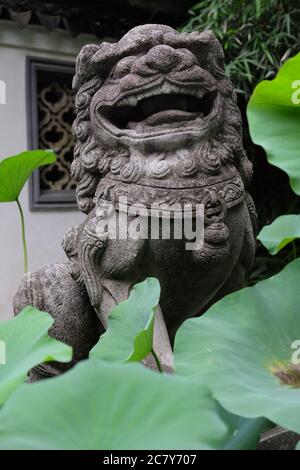 Ridendo leone di pietra tradizionale cinese guardiano. Foglie fresche di loto verde intorno. Espressione divertente del volto. Foto Stock