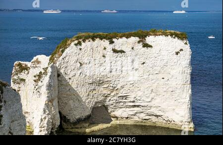 Studland, Regno Unito. 19 luglio 2020. Una giovane donna prende un selfie a Old Harry Rocks vicino Studland sull'isola di Purbeck in Dorset. Le formazioni di gesso segnano il punto più orientale della Jurassic Coast, un sito patrimonio dell'umanità dell'UNESCO. Attualmente offrono una vista ottimale delle navi da crociera ancorate a Poole Bay al largo di Bournemouth. Credit: Richard Crease/Alamy Live News Foto Stock