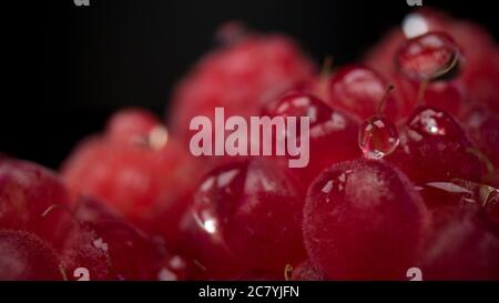 Macro vista del lampone cosparso d'acqua. Lampone fresco, deciso e gustoso primo piano nel 4K. Snack estivi vegani crudi, frutti di bosco. Foto Stock