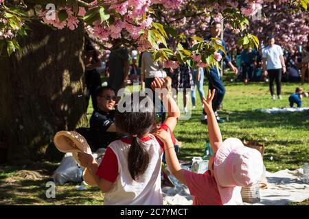 SCEAUX, FRANCIA - 20 APRILE 2019: Le bambine giocano alla celebrazione di Hanami in fiore di ciliegi nel parco Sceaux vicino a Parigi. Foto Stock