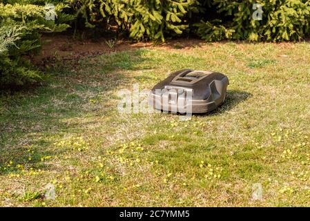 Tosaerba robotizzato per tagliare l'erba in giardino. Foto Stock