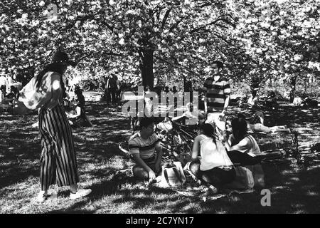 SCEAUX, FRANCIA - 20 APRILE 2019: Festa Hanami in fiore di ciliegi nel parco Sceaux vicino a Parigi. Multiculturale persone pic-nic, fare foto, socializzare Foto Stock