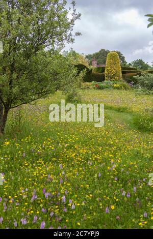 L'Orchard, la principale area di prato a Great Dixter, il famoso giardino di Christopher Lloyd a East Sussex, Inghilterra, Regno Unito Foto Stock