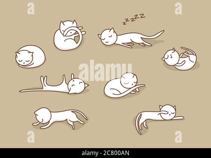 Carino white doodle gatti dormono in varie posizioni Foto Stock