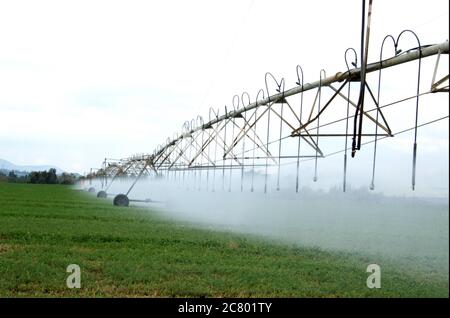 Israele, Beit Shean Valley, Kibbutz Rupin, una linea di sprinkler mobili computerizzati questa linea avanza automaticamente grazie al feedback computerizzato che produce un Foto Stock