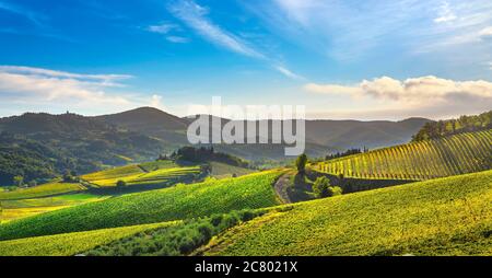 Radda in Chianti vigneto e il panorama al tramonto in autunno. Toscana, Italia Europa. Foto Stock