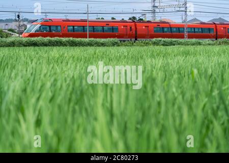 Linea Odakyu Romancaro passando accanto al campo di riso verde, Isehara City, Prefettura di Kanagawa, Giappone. Foto Stock