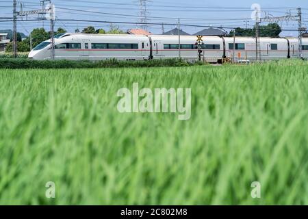 Linea Odakyu Romancaro passando accanto al campo di riso verde, Isehara City, Prefettura di Kanagawa, Giappone. Foto Stock