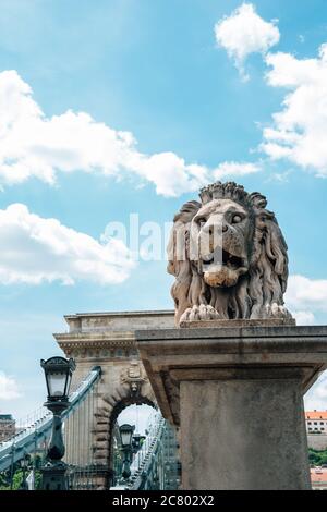 Il Ponte delle catene sul Danubio a Budapest, Ungheria Foto Stock