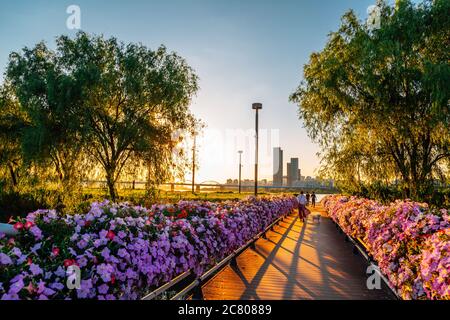 Tramonto del Banpo Hangang Park Seorae Island e paesaggio urbano con il fiume Han a Seoul, Corea Foto Stock