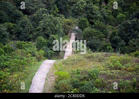 Nei Lak Shan Country Trail - Tian Tan Buddha - Grande Buddha a Ngong Ping sull'isola di Lantau, Hong Kong Foto Stock