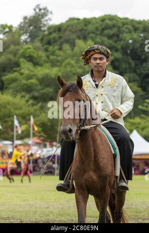 Tamu Besar festival Kota Belud Sabah Borneo Malesia tradizioni cowboy sud-est asiatico costume cavallo Foto Stock