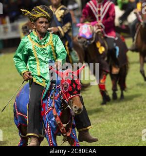 Tamu Besar festival Kota Belud Sabah Borneo Malesia tradizioni cowboy sud-est asiatico costume cavallo Foto Stock