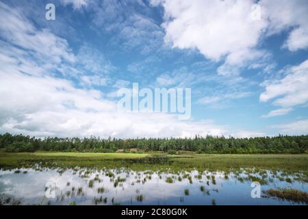 Lago palude vicino a una foresta verde sotto un bel cielo blu in estate Foto Stock