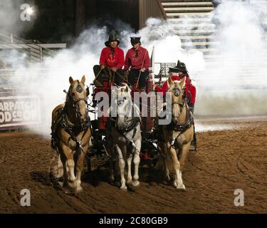 Wagon bozza cavallo erba pesante valle California festival tradizione Stati Uniti Foto Stock