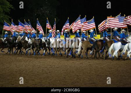 Wagon bozza cavallo erba pesante valle California festival tradizione Stati Uniti Foto Stock