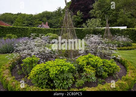 Vista del Perennial Meadow, Scampston Hall giardino murato progettato dal paesaggista olandese Piet Oudolf con vari fiori, arbusti e siepi Foto Stock