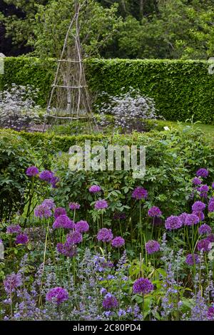 Vista del Perennial Meadow, Scampston Hall giardino murato progettato dal paesaggista olandese Piet Oudolf Foto Stock