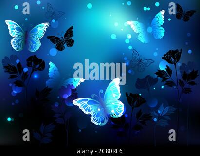 Farfalle luminose e luminose su sfondo blu, notte, luminoso con silhouette di fiori di piante selvatiche. Illustrazione Vettoriale