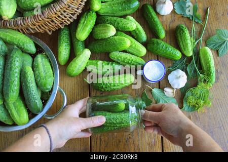 Concetto di concia di cetrioli fermentati sottaceto, h vaso di vetro aneto in mano alle donne Foto Stock