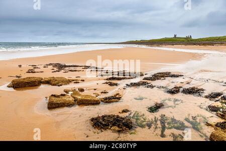 Guardando verso sud lungo Embleton Beach verso Dunstanburgh Castle, Northumberland, Inghilterra Foto Stock