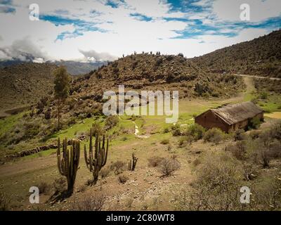 Bella scena con cactus, casa di fango in Colca Canyon, Perù in una giornata estiva Foto Stock