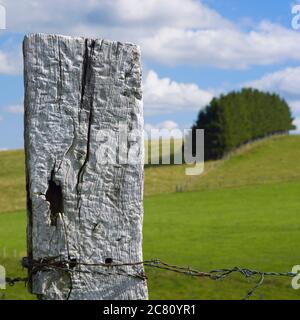 Palo rustico in legno con filo spinato in un vibrante pascolo verde sotto un cielo blu con soffici nuvole, massiccio del Cezallier, Puy de Dome, Alvernia, Francia Foto Stock