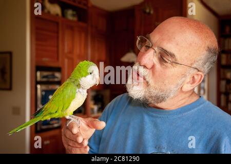 Uomo che tiene e parla con un Monk Parakeet (o Quaker Parrot) a Galena, Illinois, Stati Uniti Foto Stock