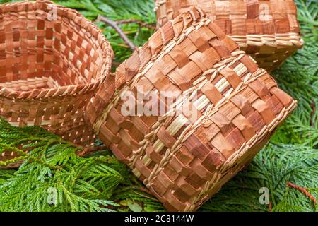 Tre handmade Western Red Cedar canestri intrecciati da strisce di corteccia interna, giacente su Western Red Cedar filiali Foto Stock