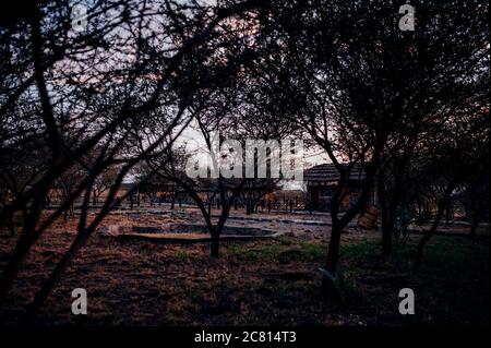 Doho Safari Lodge nel Parco Nazionale di Awash, distretto di Afar, Etiopia. Foto Stock