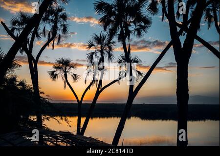 Tramonto sulla naturale oasi termale calda al Doho Safari Lodge nella regione Afar dell'Etiopia. Foto Stock