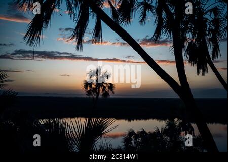 Tramonto sulla naturale oasi termale calda al Doho Safari Lodge nella regione Afar dell'Etiopia. Foto Stock