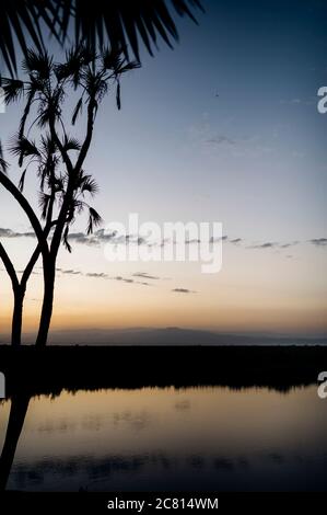 Tramonto sulla naturale oasi termale calda al Doho Safari Lodge nella regione Afar dell'Etiopia. Foto Stock