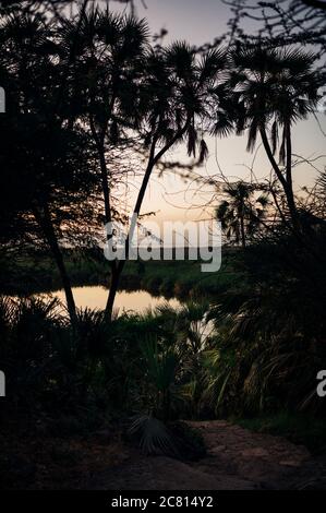 Tramonto sulla naturale oasi termale calda al Doho Safari Lodge nella regione Afar dell'Etiopia. Foto Stock