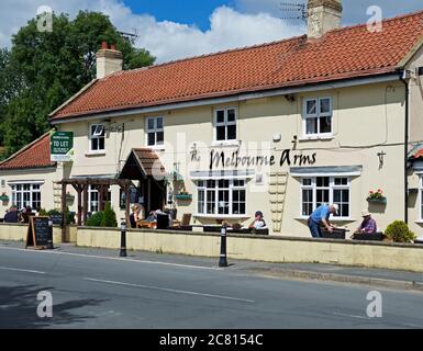 La gente si diverse a bere fuori dal Melbourne Arms, nel villaggio di Melbourne, East Yorkshire, Inghilterra UK Foto Stock