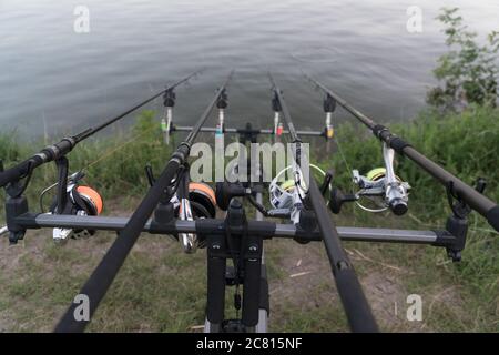 Guardando lungo tre aste di carpe verso un laghetto. La pesca alla carpa. Foto Stock