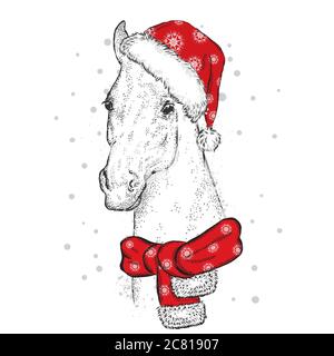 Bel cavallo in un cappello di Natale e sciarpa. Illustrazione vettoriale per una scheda o un poster. Babbo Natale. Capodanno e Natale. Illustrazione Vettoriale