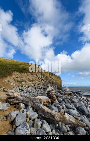 La costa del patrimonio di Nash Point, la Heritage Coast, nel Galles del Sud, che presenta una scogliera simile a una "Sfinge gallese" Foto Stock