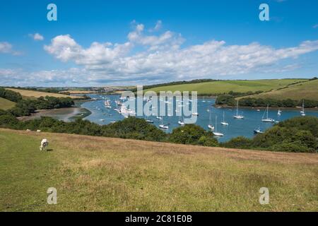 Vista estiva dell'estuario di Salcombe da Snapes Point nel South Hams, Devon, Regno Unito Foto Stock