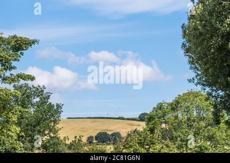 Lontano Sunlit campo collinare UK visto attraverso un divario nella hedgerow. Agricoltura e agricoltura nel Regno Unito, sole nel Regno Unito, campi soleggiati nel Regno Unito. Foto Stock