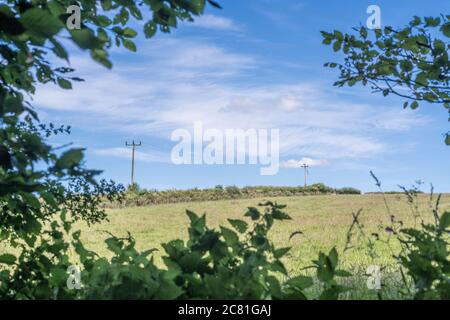 Lontano Sunlit campo collinare UK visto attraverso un divario nella hedgerow. Agricoltura e agricoltura nel Regno Unito, sole nel Regno Unito, campi soleggiati nel Regno Unito. Foto Stock