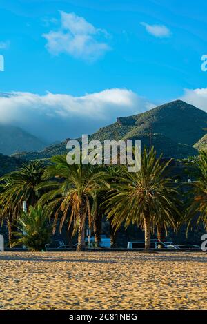 Playa de Las Teresitas con palme e montagne. Famosa spiaggia a nord dell'isola di Tenerife, vicino a Santa Cruz. Solo una spiaggia con la sabbia dorata fr Foto Stock