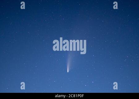Cometa C/2020 F3 (NEOWISE) visto il 20 luglio 2020 dal Galles, Regno Unito durante il crepuscolo astronomico, contro il cielo azzurro chiaro e profondo. Emisfero settentrionale. Foto Stock