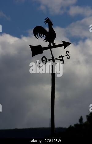 Silhouette di una paletta meteorologica gallo contro un cielo blu Foto Stock