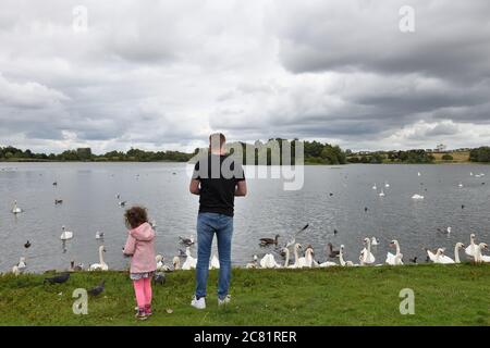 Glasgow, Scozia, Regno Unito. 20 luglio 2020. Lockdown Adeed e Glaswegiani sono in vacanza 'Fair Lunedi' tradizionale. Questa giovane ragazza e suo padre nutrono il gregge di cigni a Hogganfield Loch. Credito. Douglas Carr/Alamy Live News Foto Stock