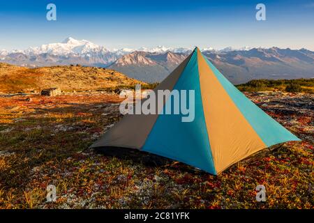 Tenda accampata sulla tundra vicino al Kesugi Ridge Trail, Denali state Park, Alaska, con Denali e la catena montuosa dell'Alaska (Denali National Park and Preserve)... Foto Stock