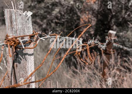 Filo spinato arrugginito attaccato a pali di legno, una recinzione abbandonata accanto a una foresta e un campo tenda. Lo schema colore è stato modificato a favore dell'estetica Foto Stock