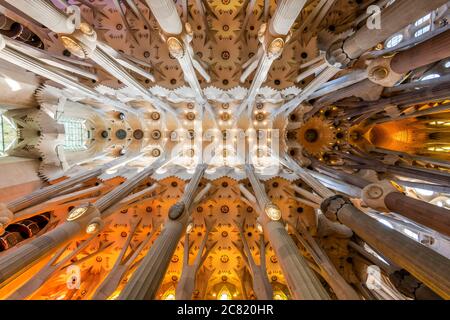 Vista dal basso angolo del soffitto nella navata centrale, Sagrada Familia, Barcellona, Catalogna, Spagna Foto Stock