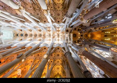 Vista dal basso angolo del soffitto nella navata centrale, Sagrada Familia, Barcellona, Catalogna, Spagna Foto Stock