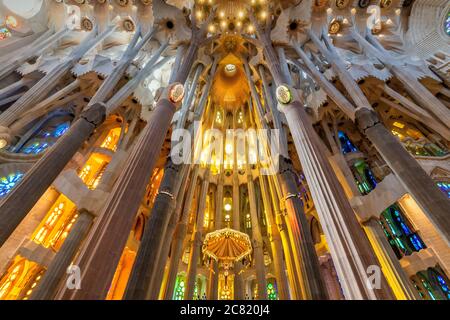 Vista dal basso angolo del soffitto nella navata centrale, Sagrada Familia, Barcellona, Catalogna, Spagna Foto Stock